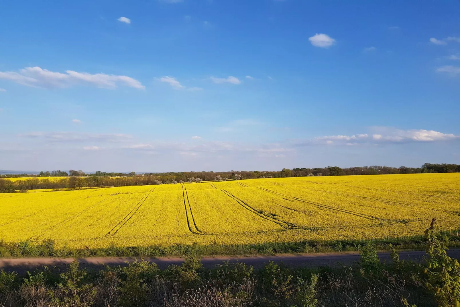 Ferienwohnung Freital - Dresden-Gebiete Sommer 5 km