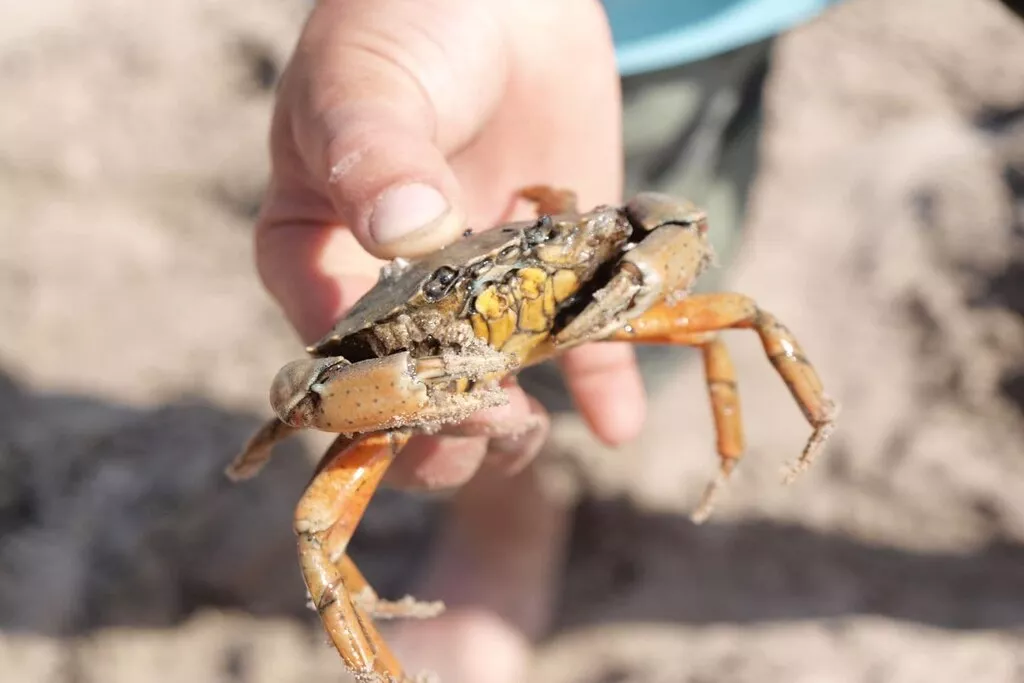 10561-Nicht zugeordnet