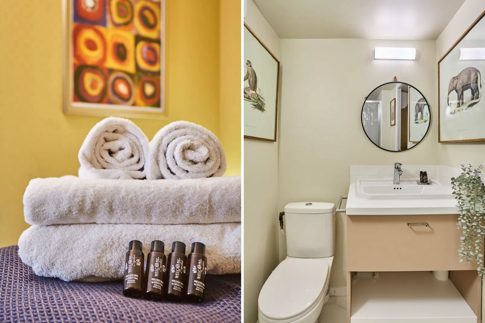 TEMPLE 5 NEW-Nicht zugeordnet