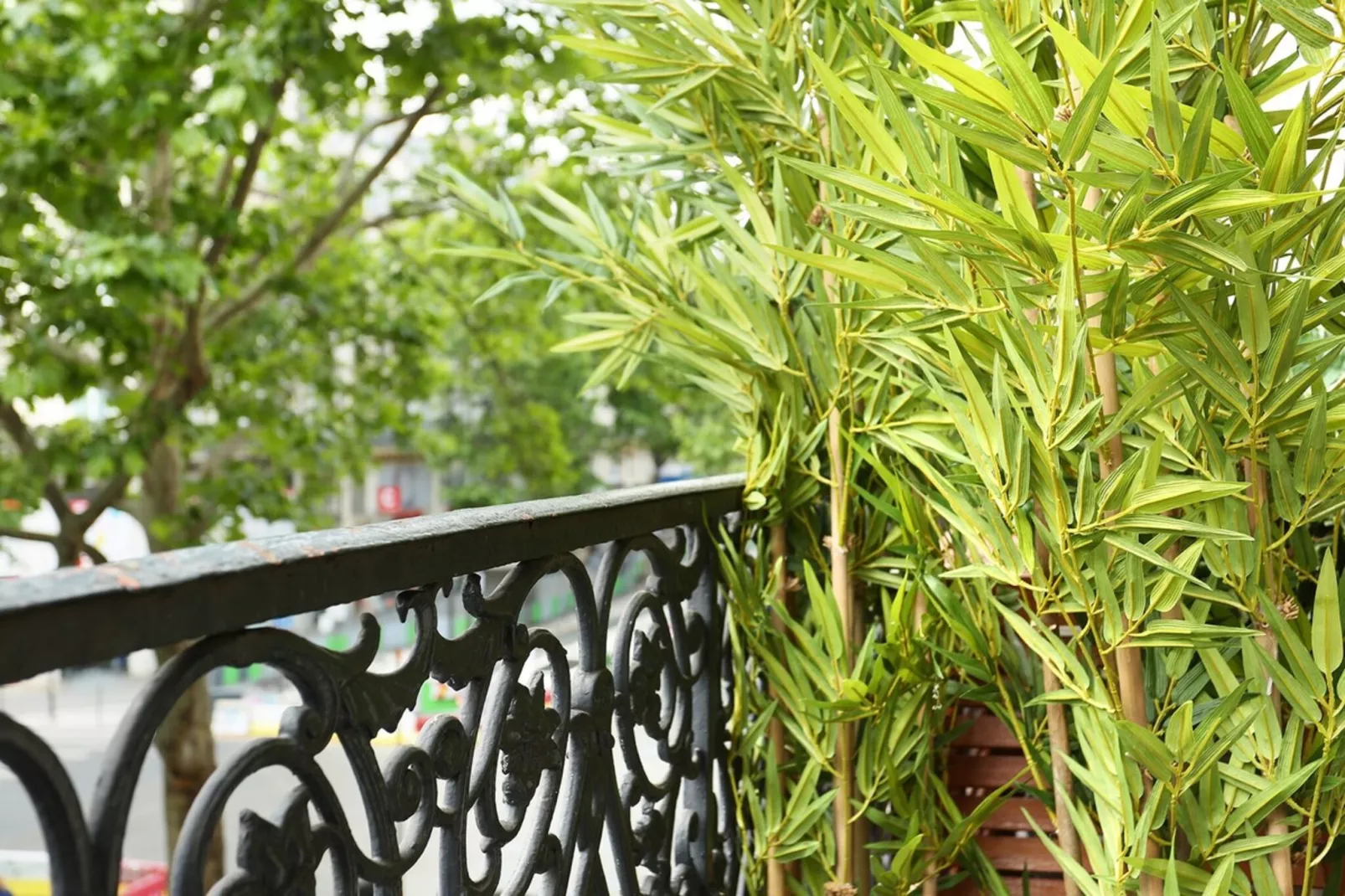 SEBASTOPOL GREEN NEW-Nicht zugeordnet