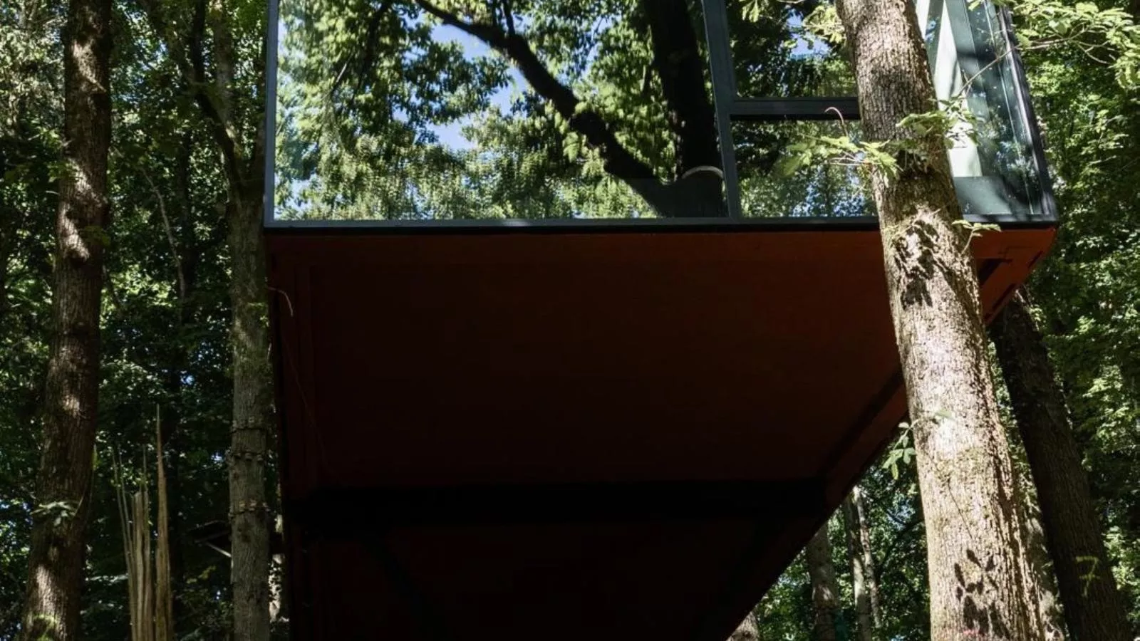 Cabane dans les arbres-Exterior in summer