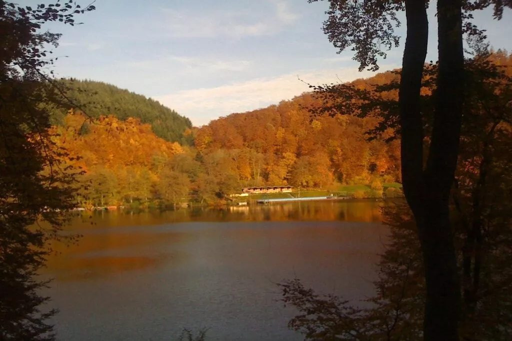 13565-Nicht zugeordnet