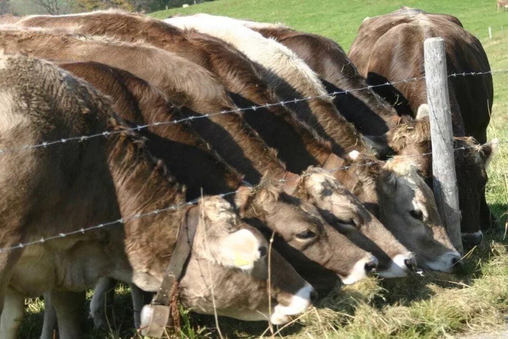 55062-Nicht zugeordnet