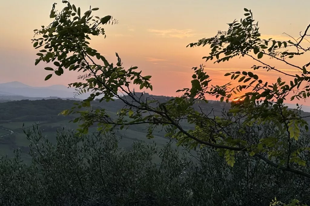 539355-Nicht zugeordnet