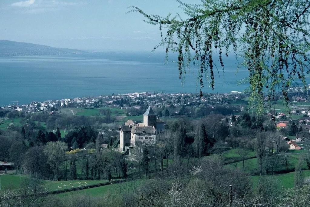 37316-Nicht zugeordnet