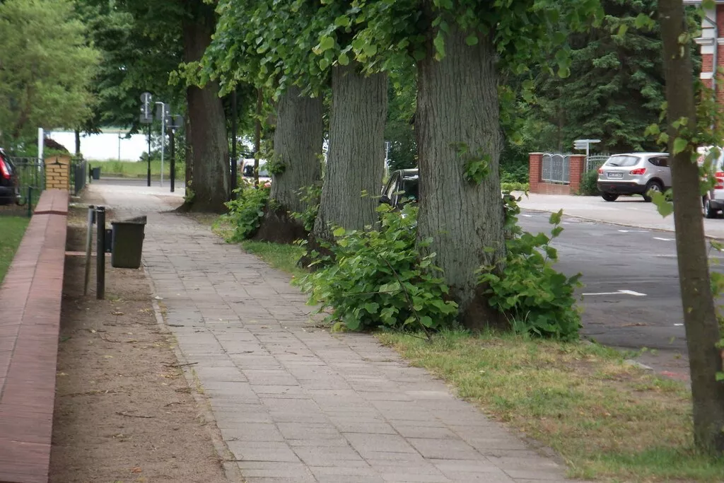 56500-Nicht zugeordnet