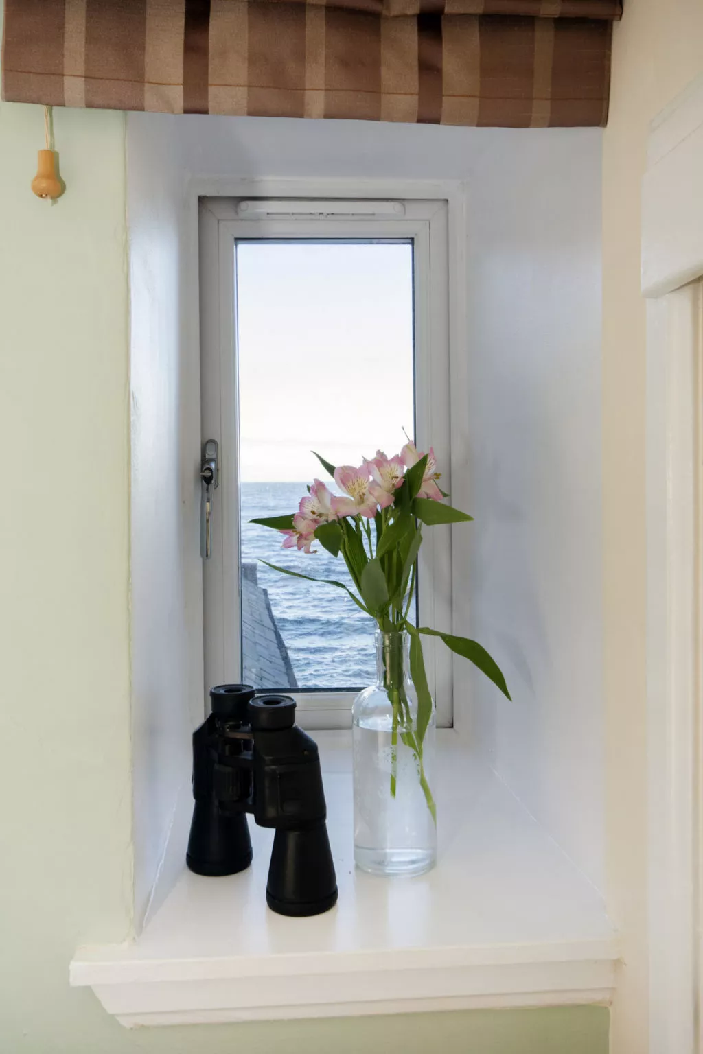 Ellie-Jo Cottage-Dehors