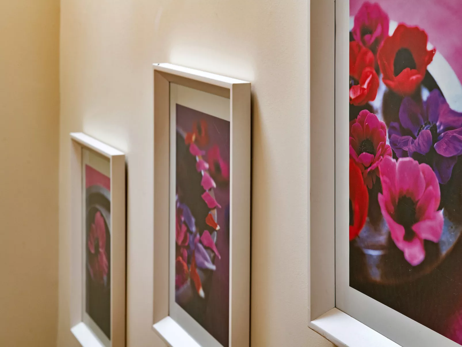 Buzzards View-Dedans