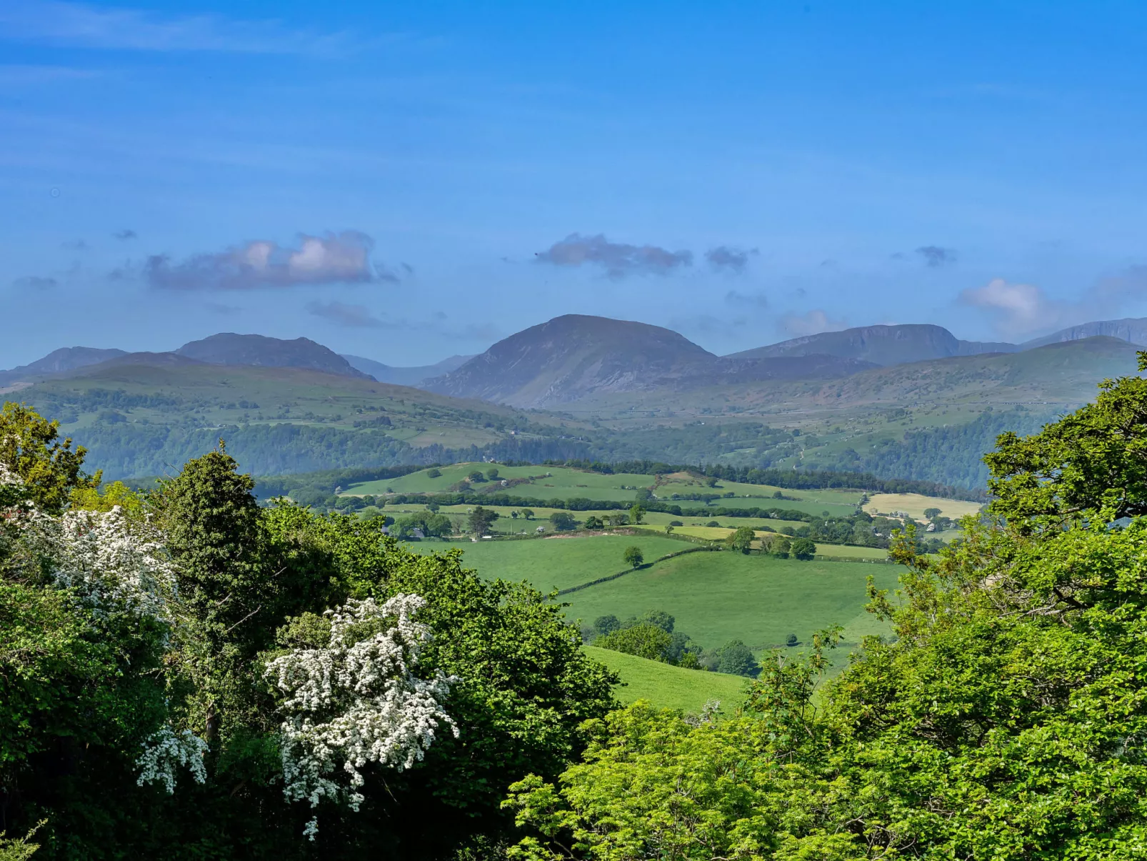 Red Kites Retreat-Dehors