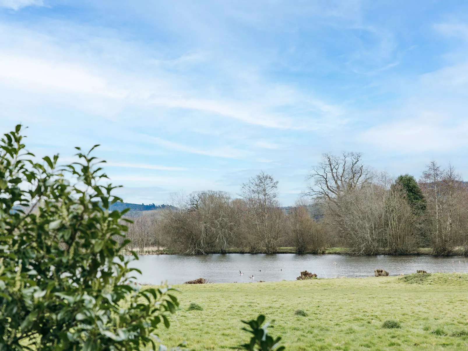 Netley Hall - Camelia-Outside