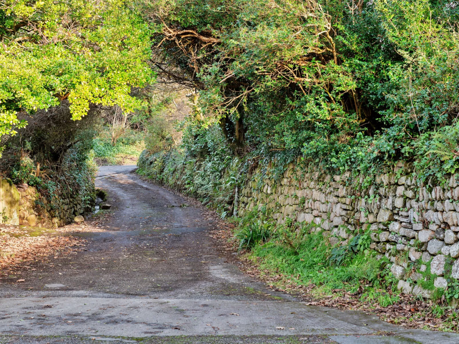 The Noel at Lesceave-Dehors