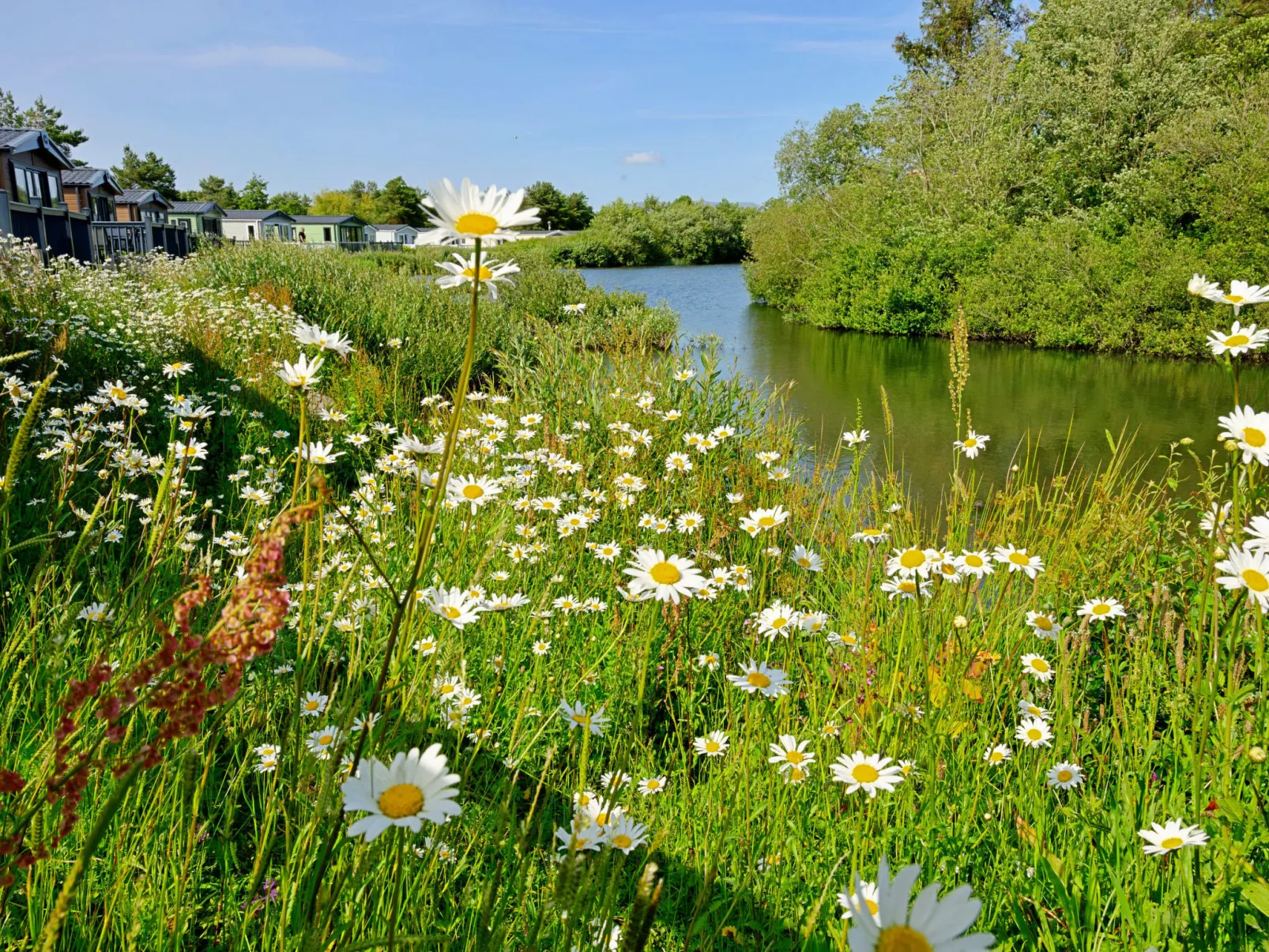 Forest Lodge-Outside