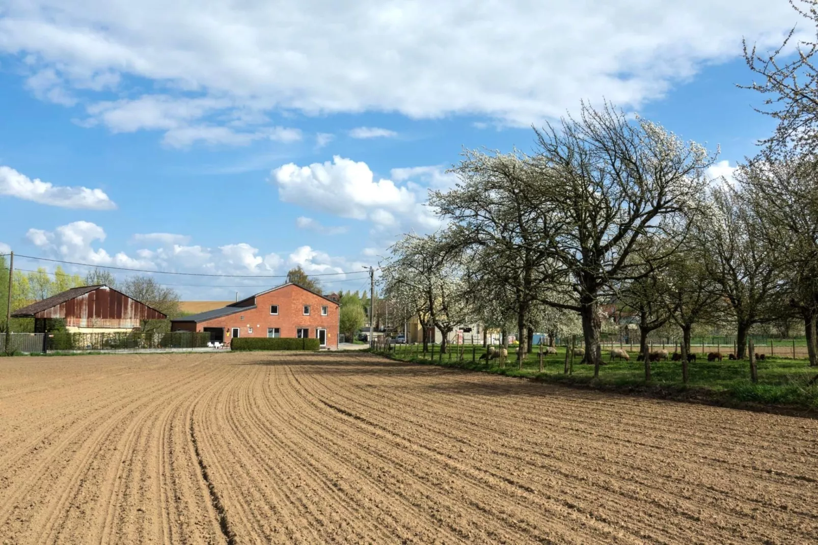 Arends nest-Gebiete Sommer 1 km
