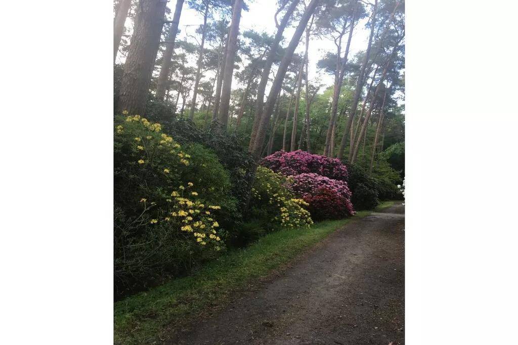 109045-Nicht zugeordnet