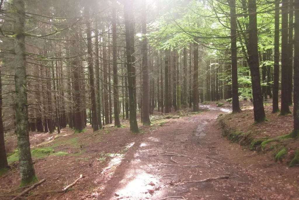 3420-Nicht zugeordnet