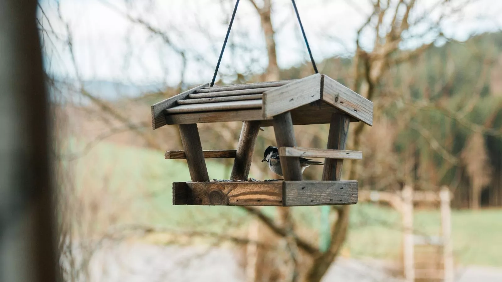 Im Bayerischen Wald-Ambiance