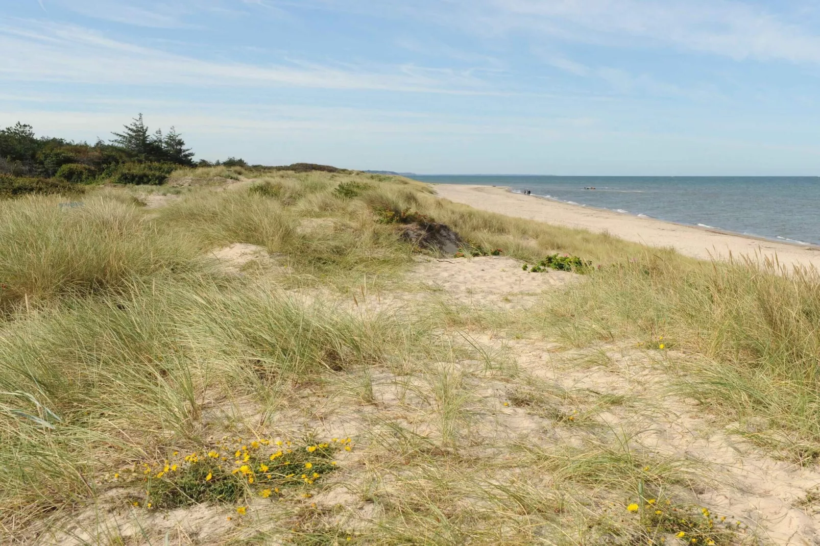 5 Sterne Ferienhaus in Frederiksværk-Nicht zugeordnet