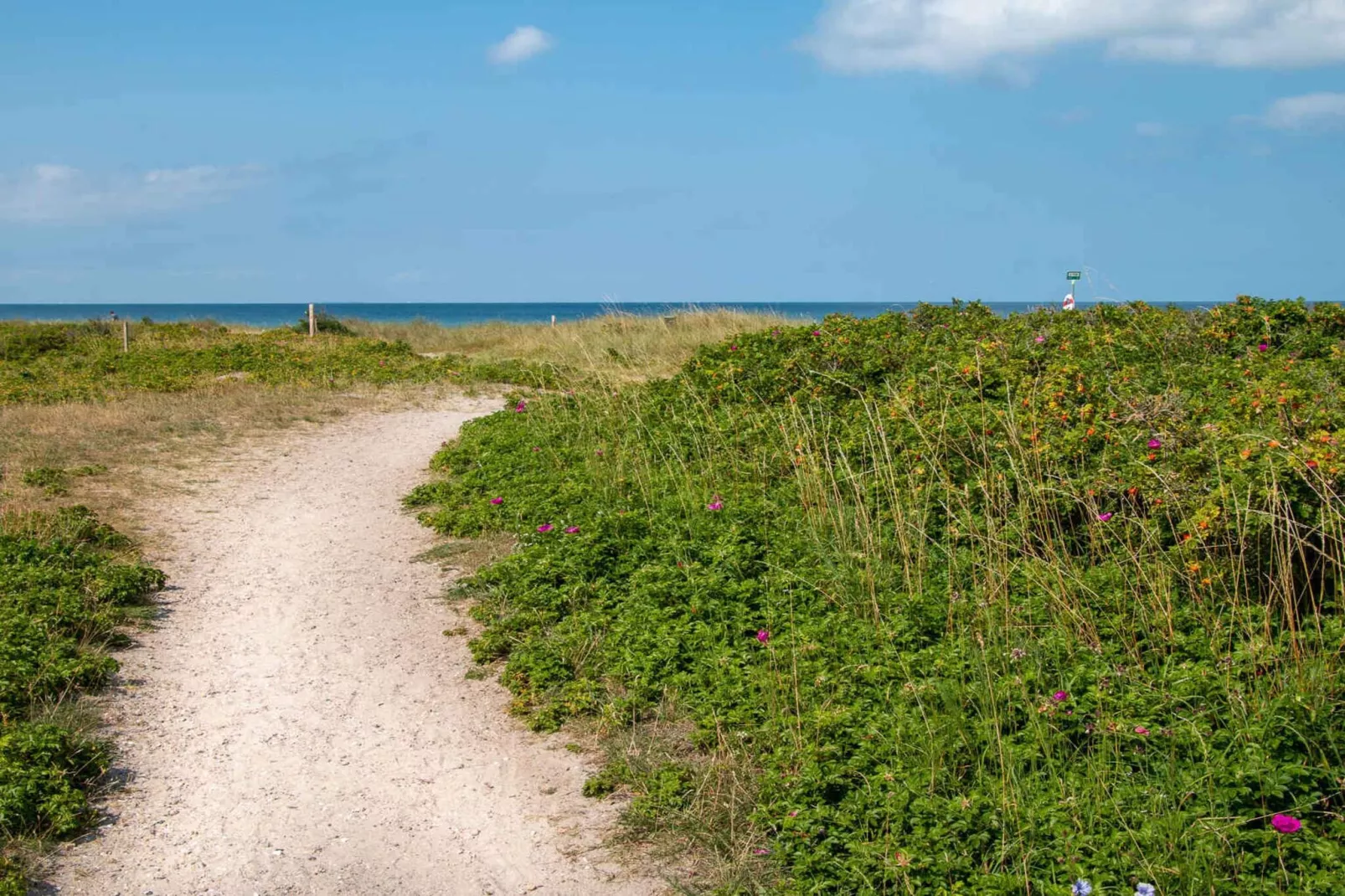 5 etoiles maison de vacances a Store Fuglede