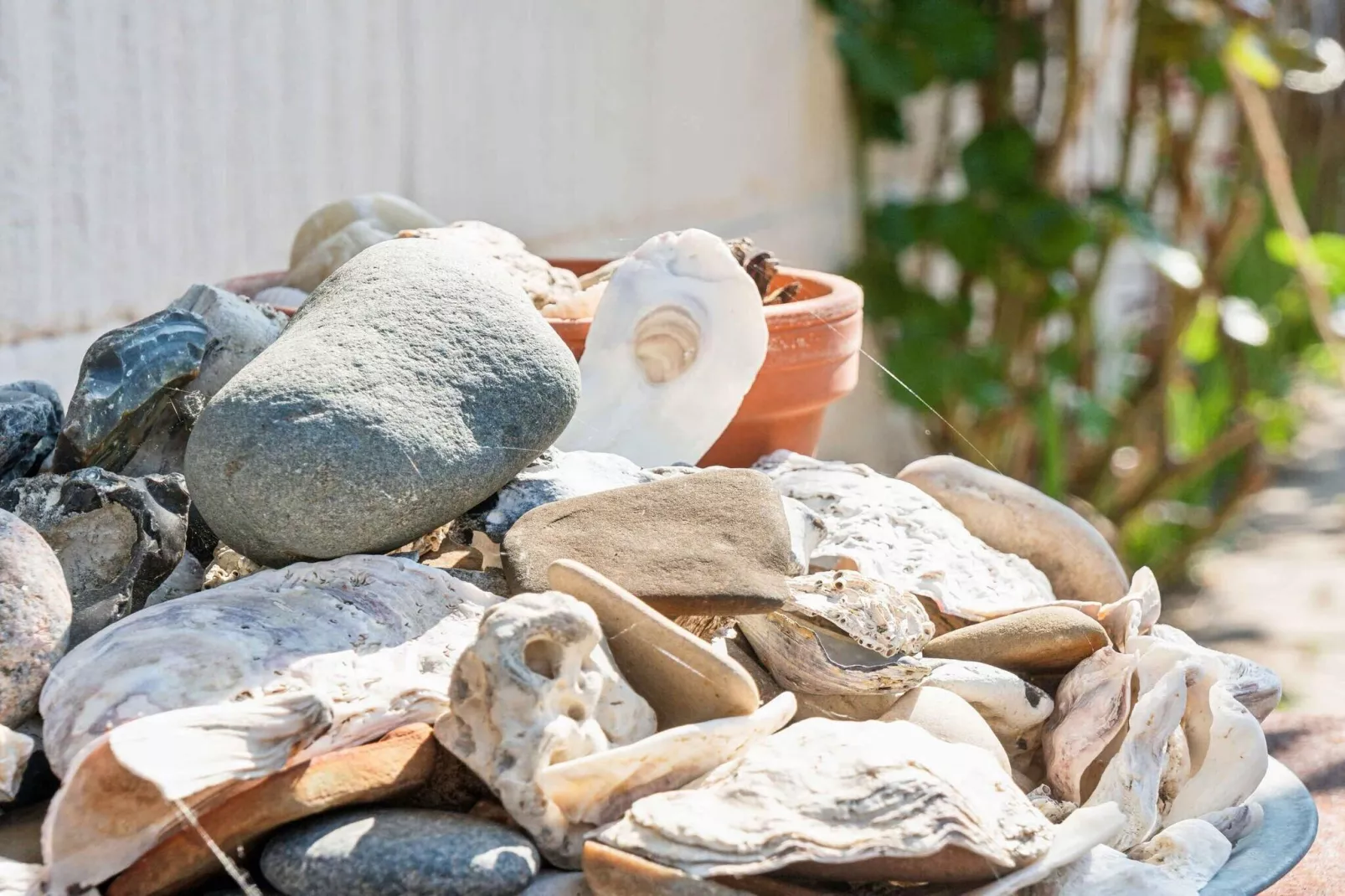 5 star holiday home in Farsø-Outdoor