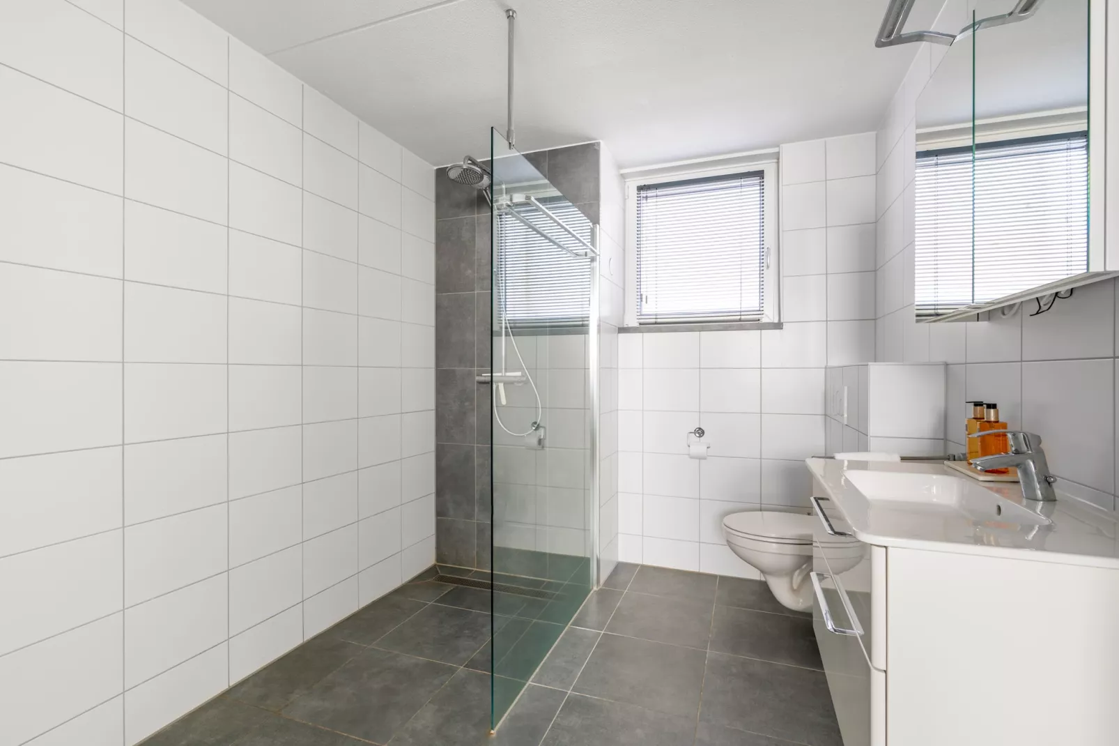 Hoogelandt 106F-Bathroom