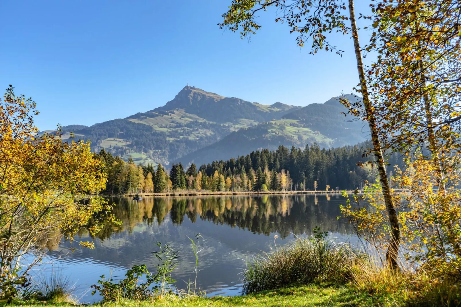 Mountapart-Kuhkaser Top 12 - Gebiete Sommer 5 km