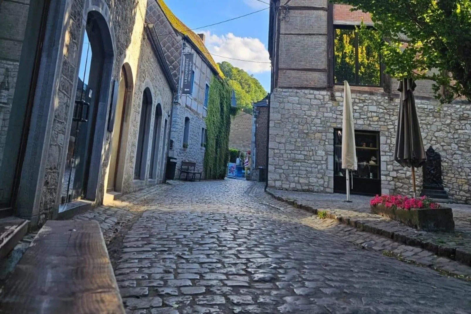 Le reflet de l’Ourthe-Areas within 1km in summer