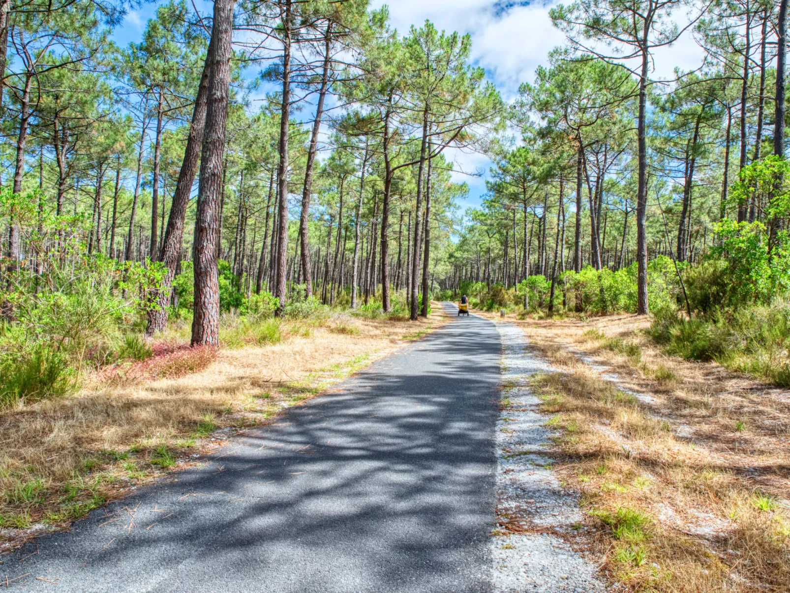 Marina de Talaris-Area