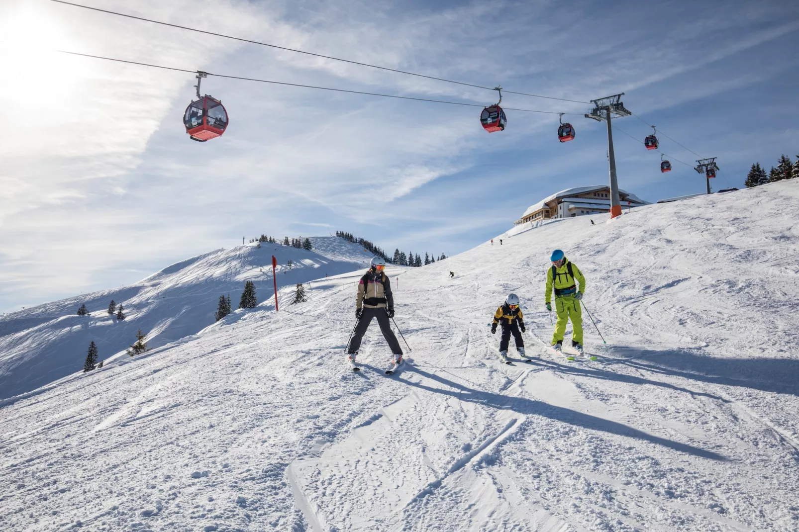 Top 5-Area within 1km in winter