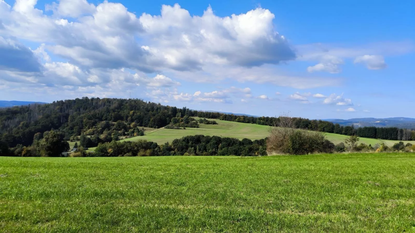 Am Springelbach-Vue d'été