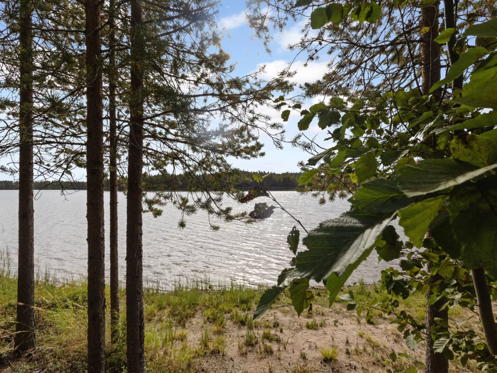 Ahvenmäki b-Drinnen