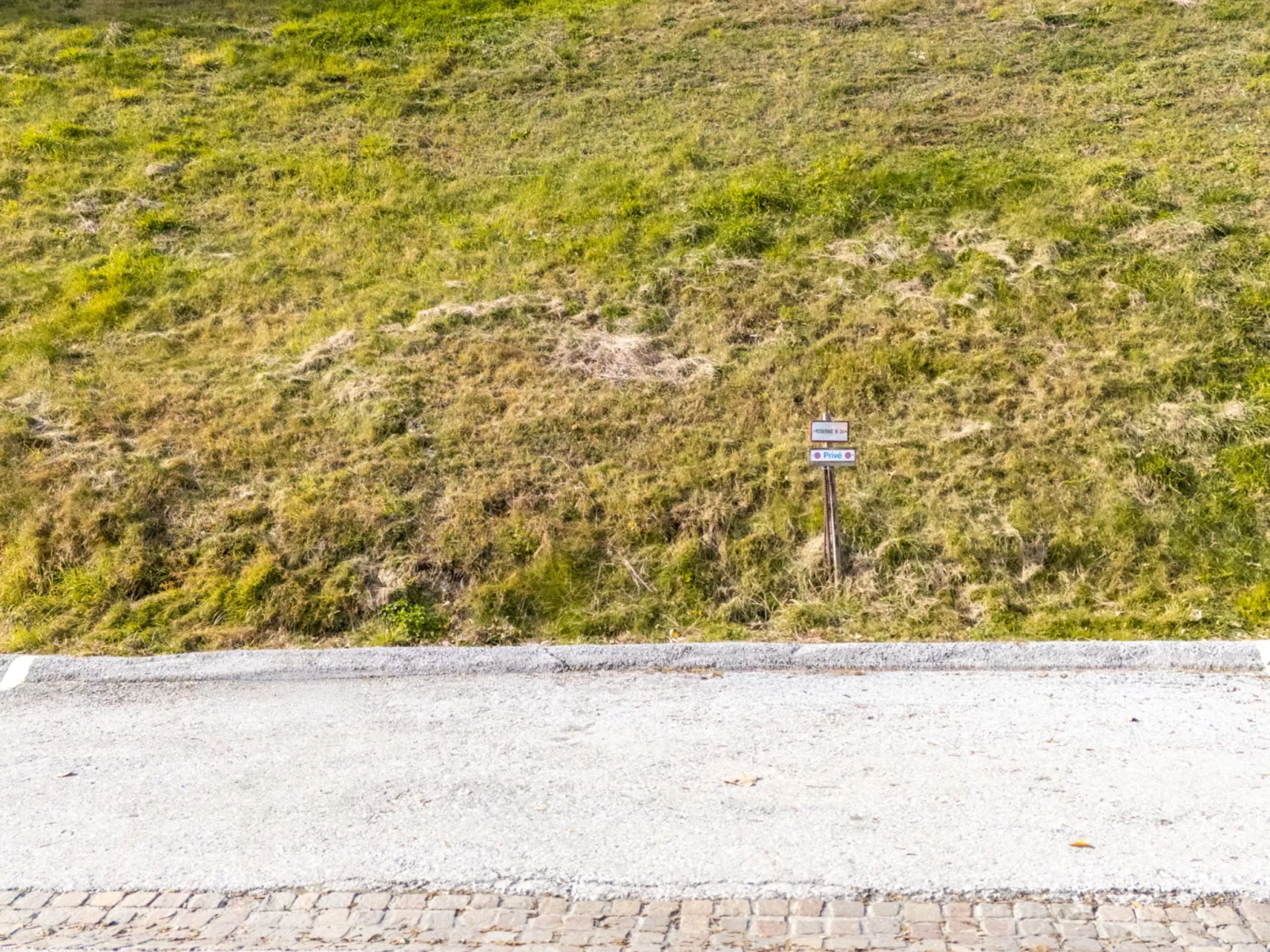 La Roseraie B 24-Outside