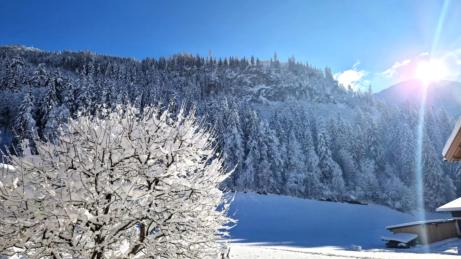 Schiestl-Aussicht Winter