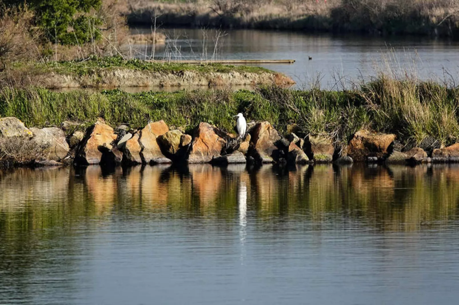 Appartements à Saint-Gilles-Croix-de-Vie-Nicht zugeordnet