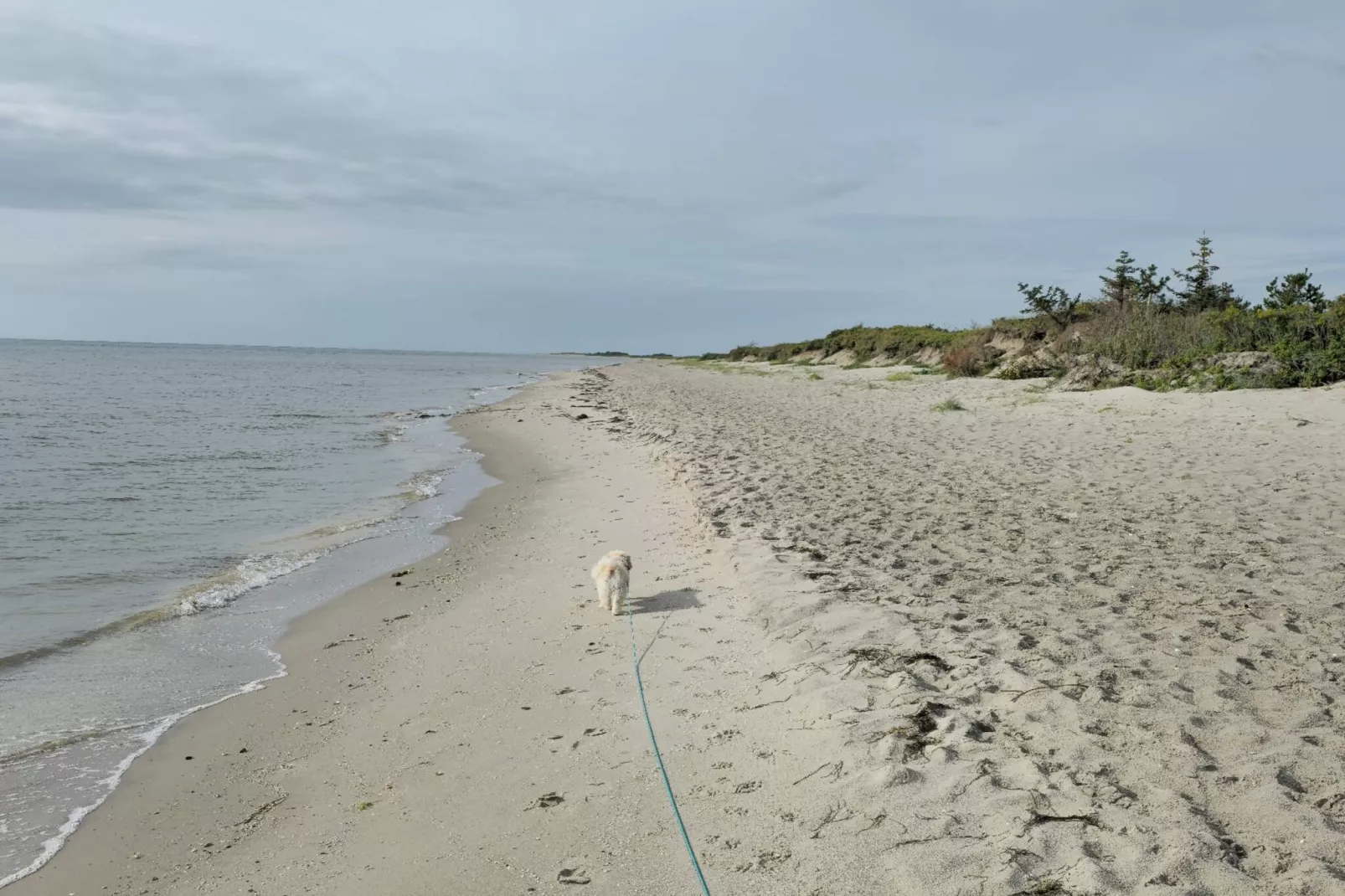 6 person holiday home in Sæby-Water view