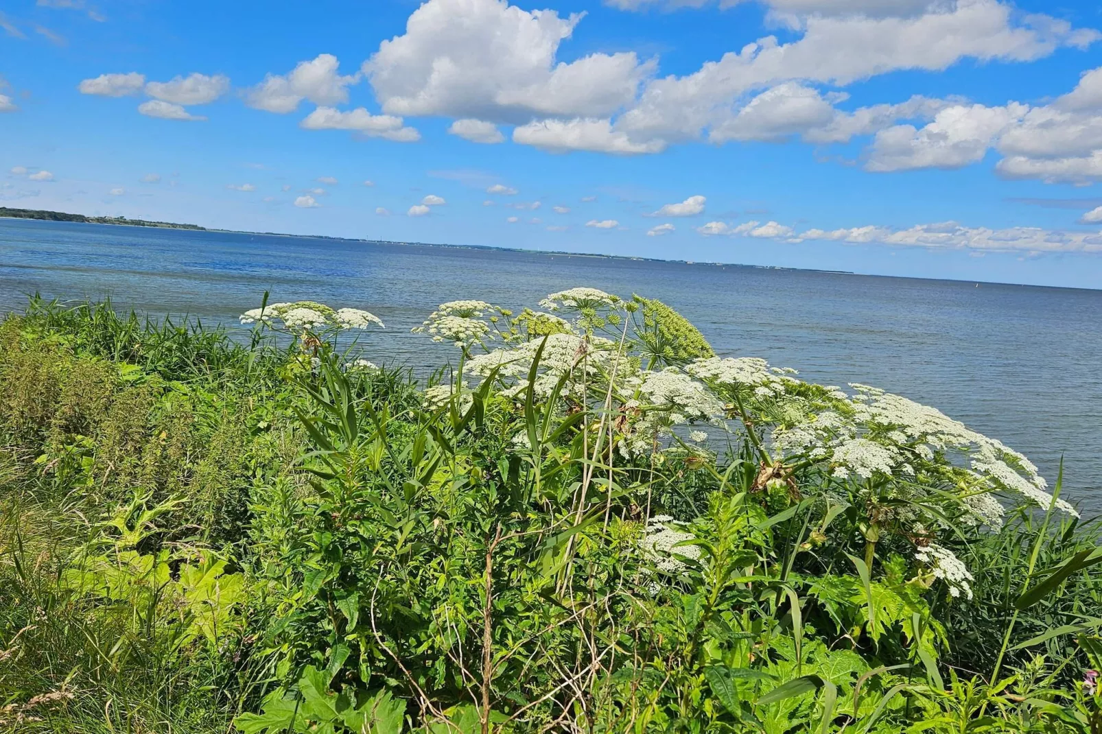4 Personen Ferienhaus in Nykøbing M-By Traum-Schwimmbad