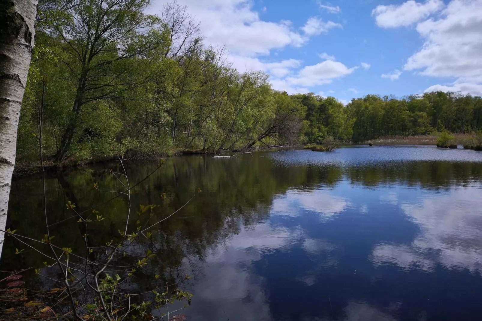 Maison de vacances pour 6 a Stubbekøbing-By Traum-Vue sur l'eau