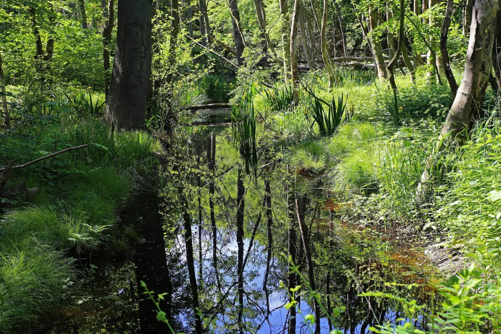 Villa de luxe avec piscine a Lohals -- By Traum Ferienwohnungen-Vue sur l'eau