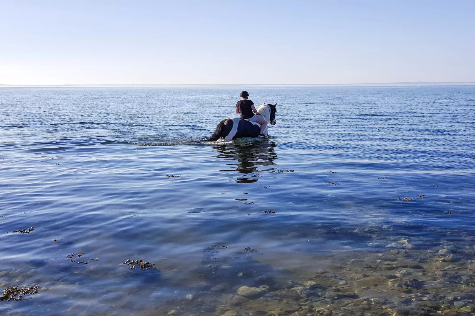 Ruhiger Ruckzug in Bogense -- By Traum Ferienwohnungen-Wasserblick