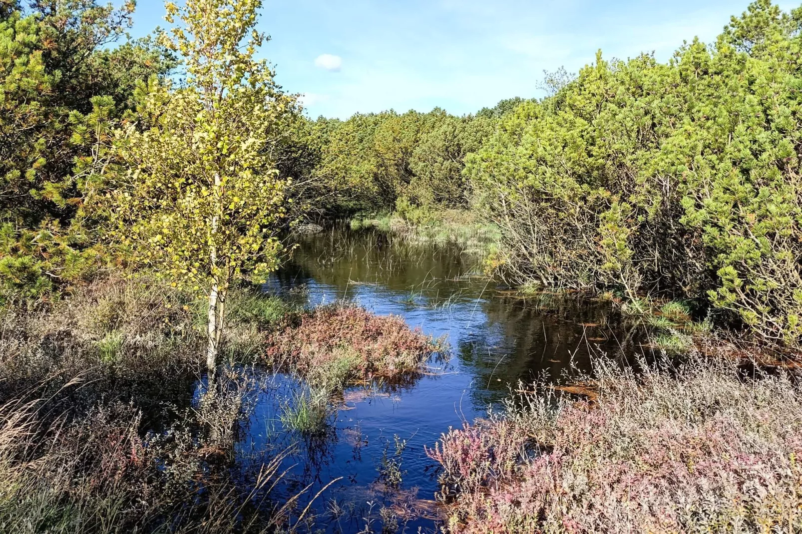 8 person holiday home in Rømø-By Traum-Water view