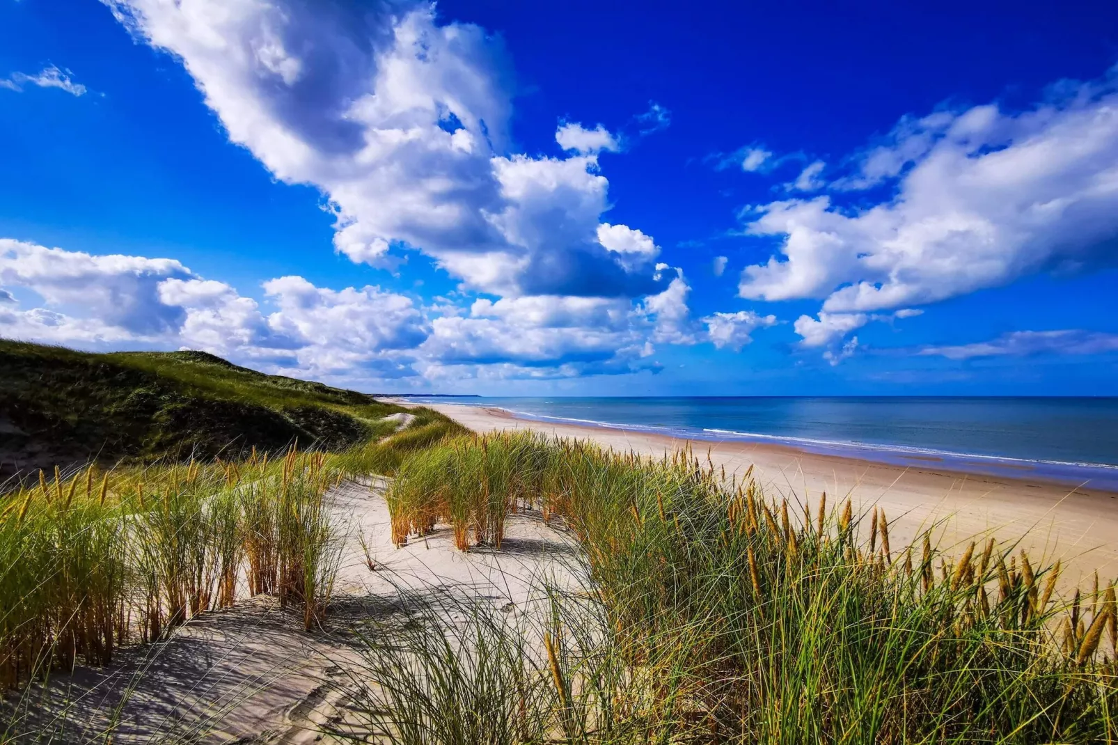 Maison de vacances pour 6 a Hirtshals-By Traum-Vue sur l'eau