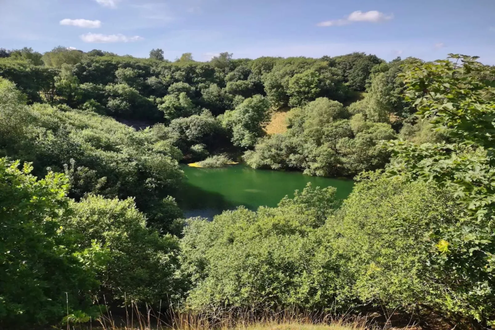 8 Personen Ferienhaus in Gjern-By Traum