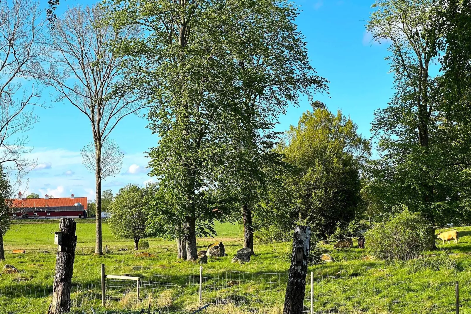 7 person holiday home in HOVA-By Traum-Not tagged