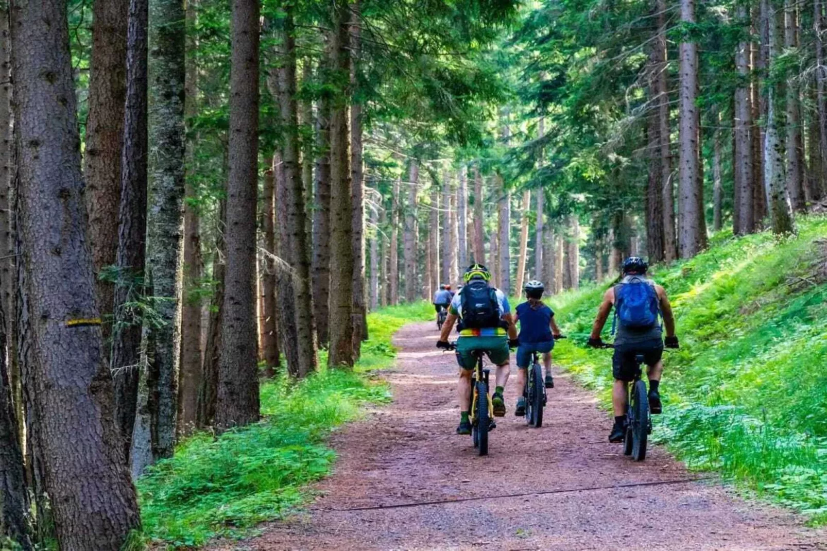 Żółty Dom Grąbczyn-Areas within 5km in summer