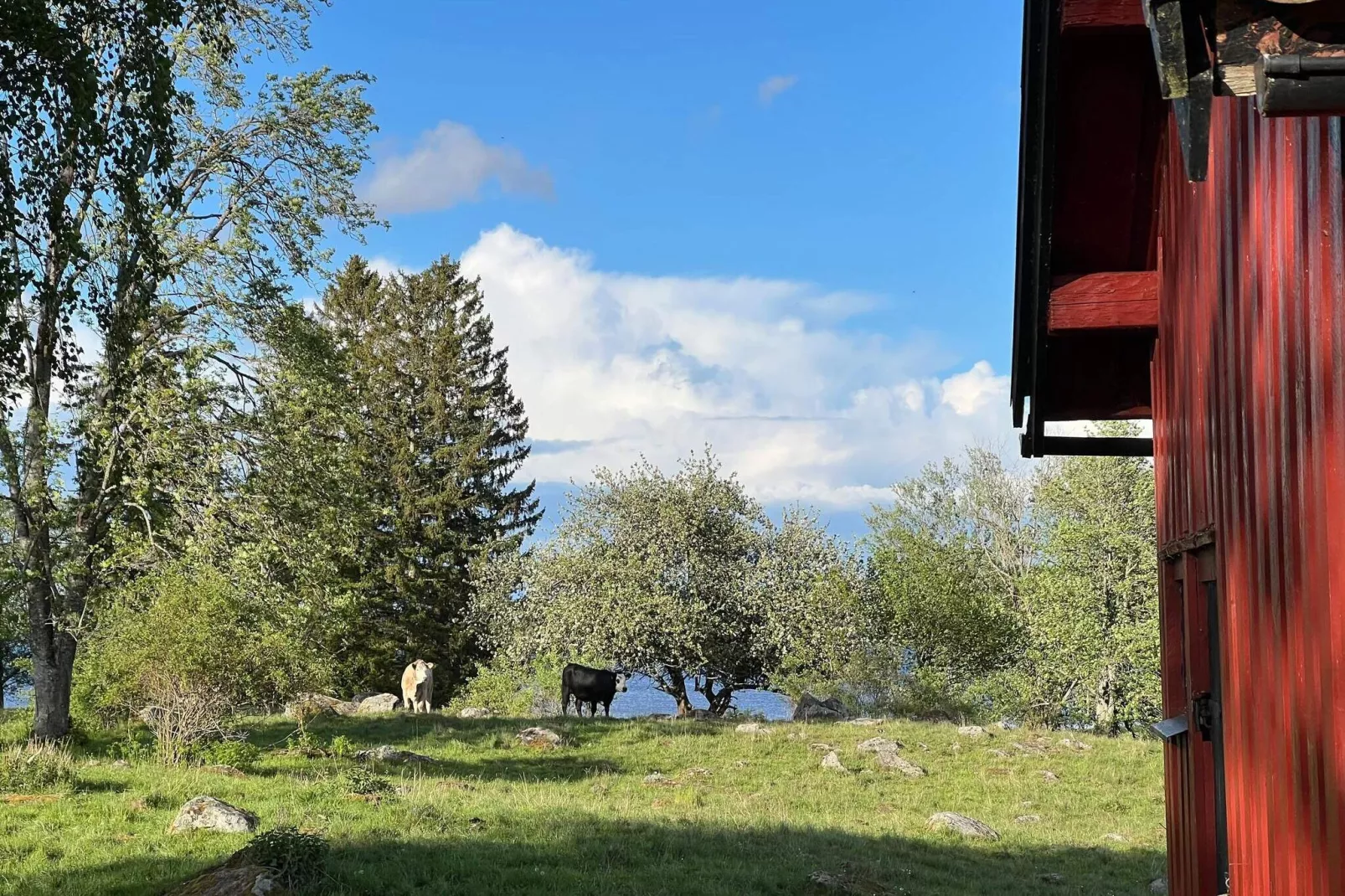 7 person holiday home in HOVA-By Traum-Not tagged
