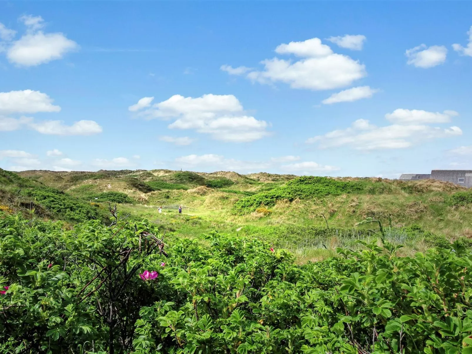 "Karla" - 100m from the sea-Draußen