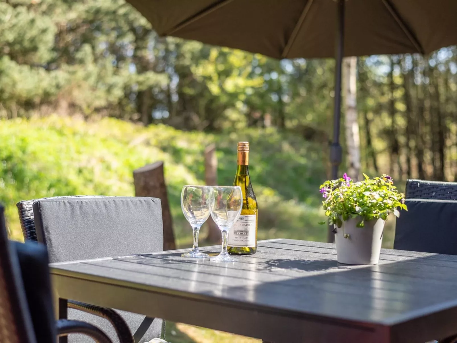 "Epiphania" - 900m from the sea-Outside