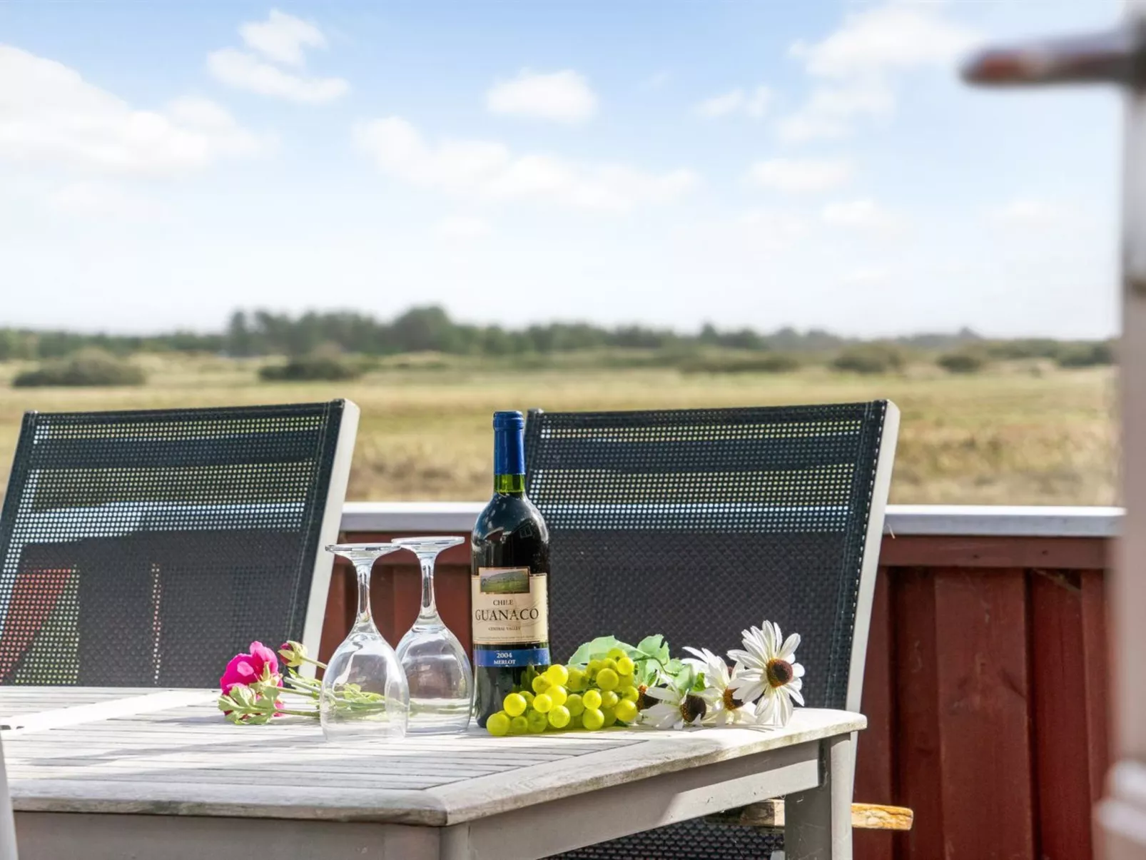 "Mortensen" - 350m from the sea-Dehors