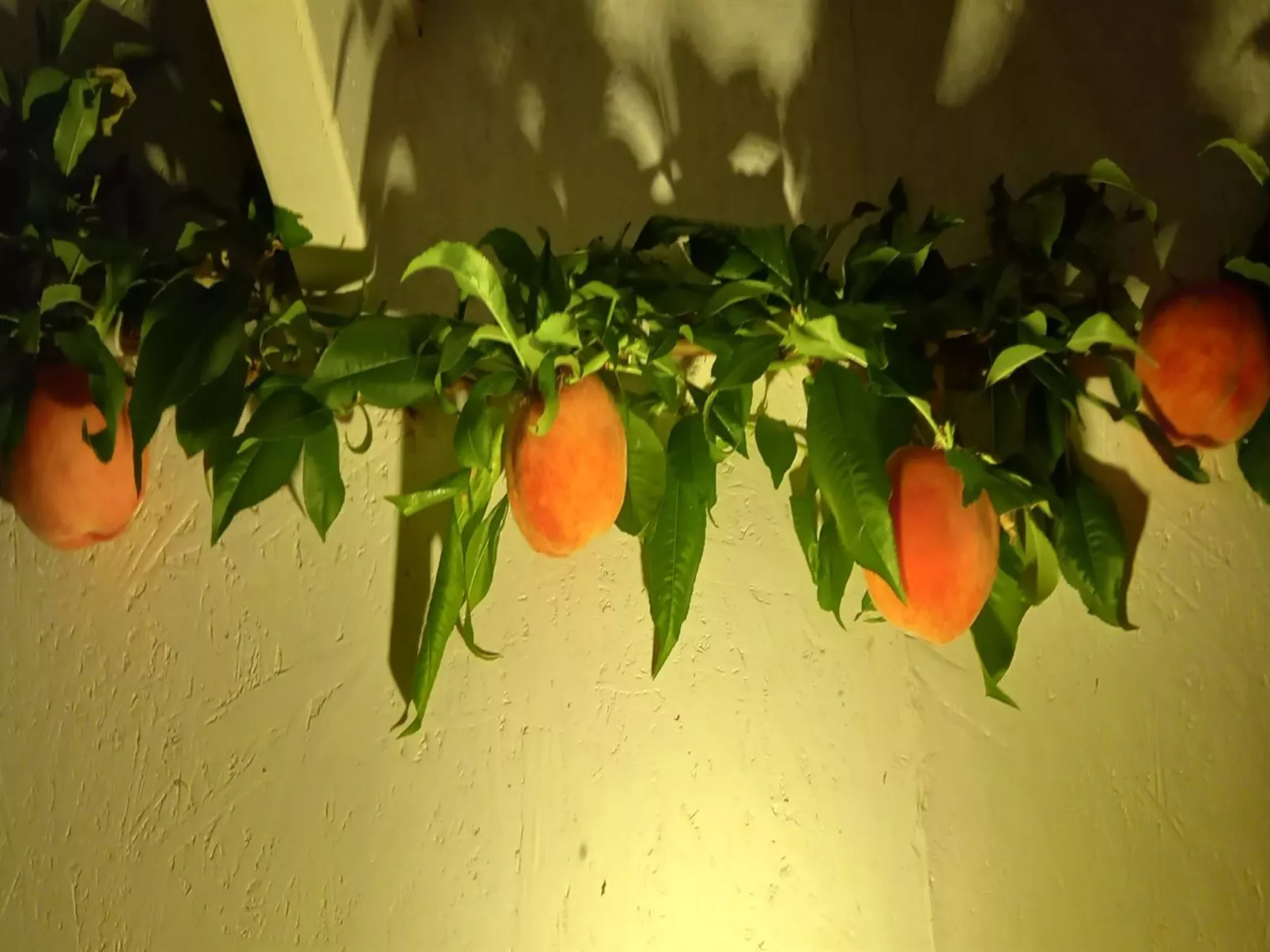 "Hartvig" - 800m from the sea-Drinnen