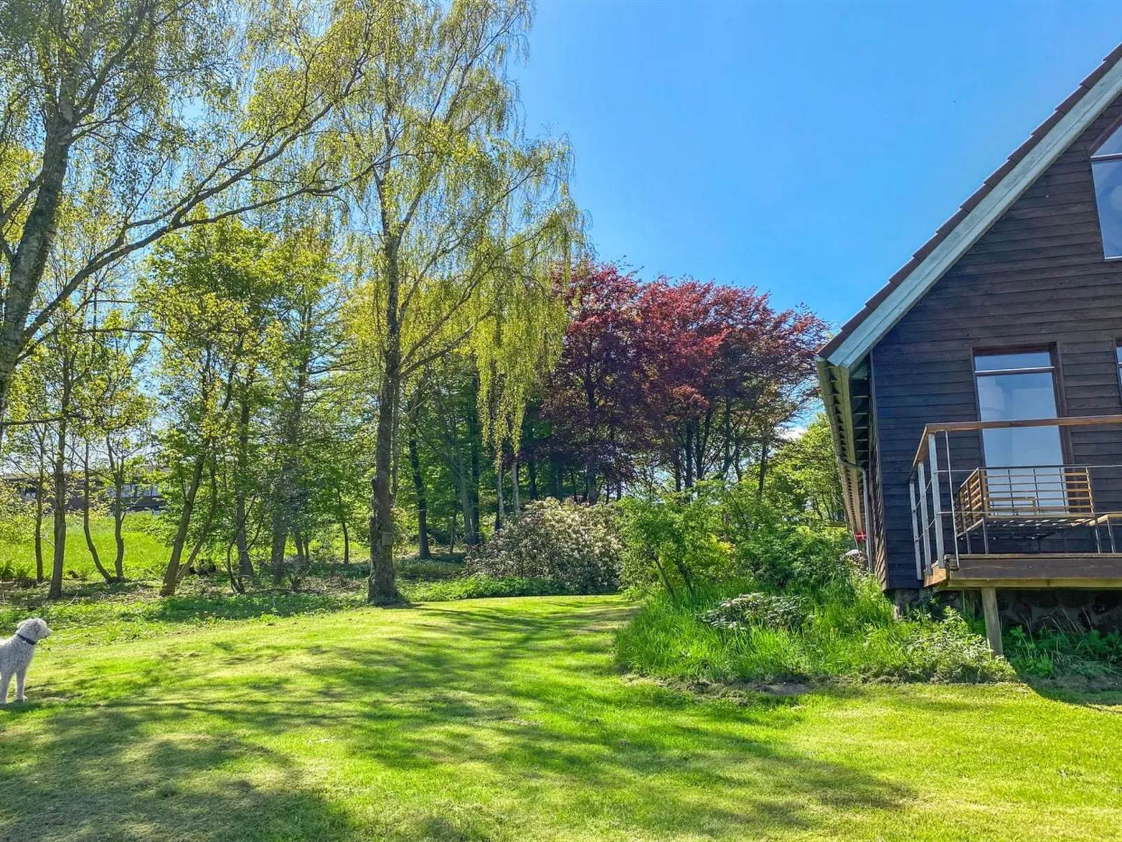 "Nella" - 1.2km from the sea-Outside