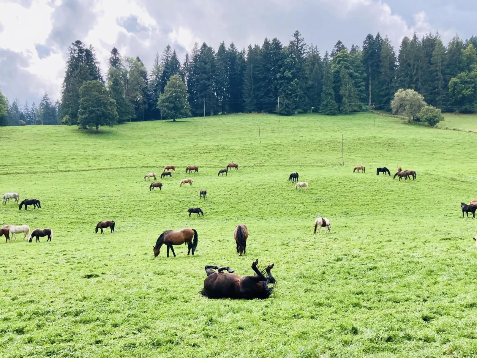 Maison de vacances - LM-Draußen